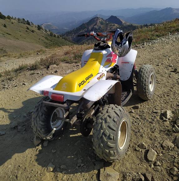 Meet your Posher, Derek - Picture 1 of 1